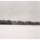 Winter am Truppenübungsplatz