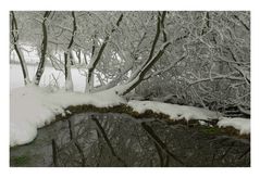 Winter am Tümpel