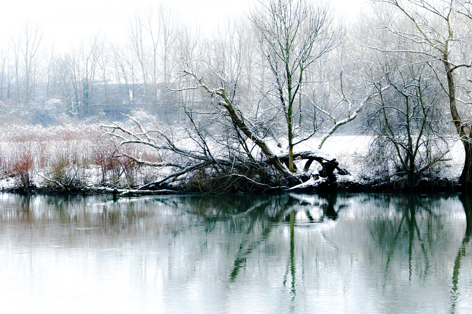 Winter am Ufer der Ruhr