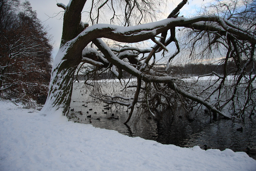 Winter am Unterbacher See