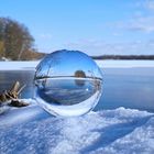 Winter am Unterbachersee Düsseldorf