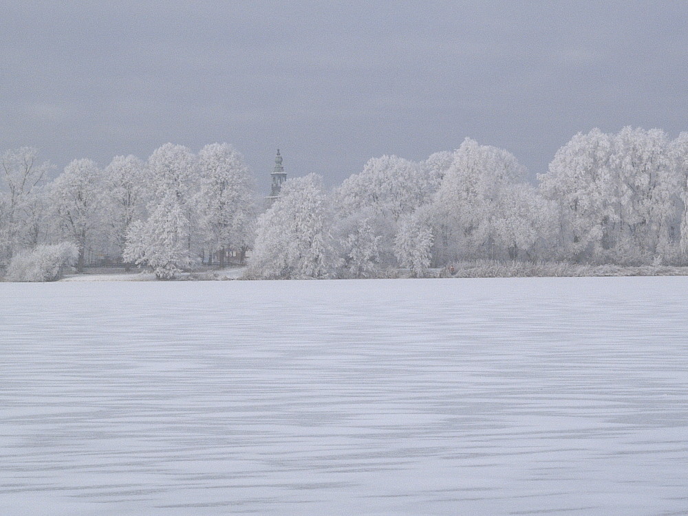 Winter am Vechtesee II