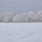 Winter am Vechtesee II