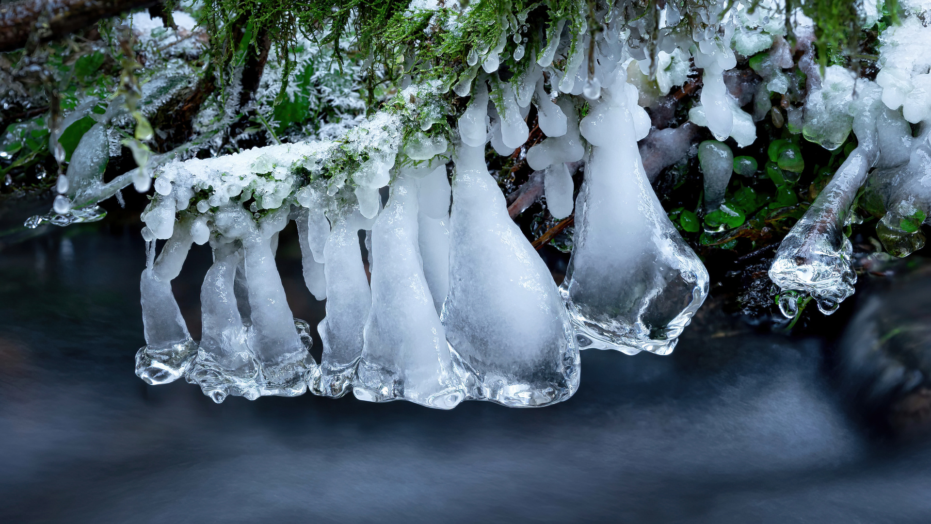 Winter am Waldbach 