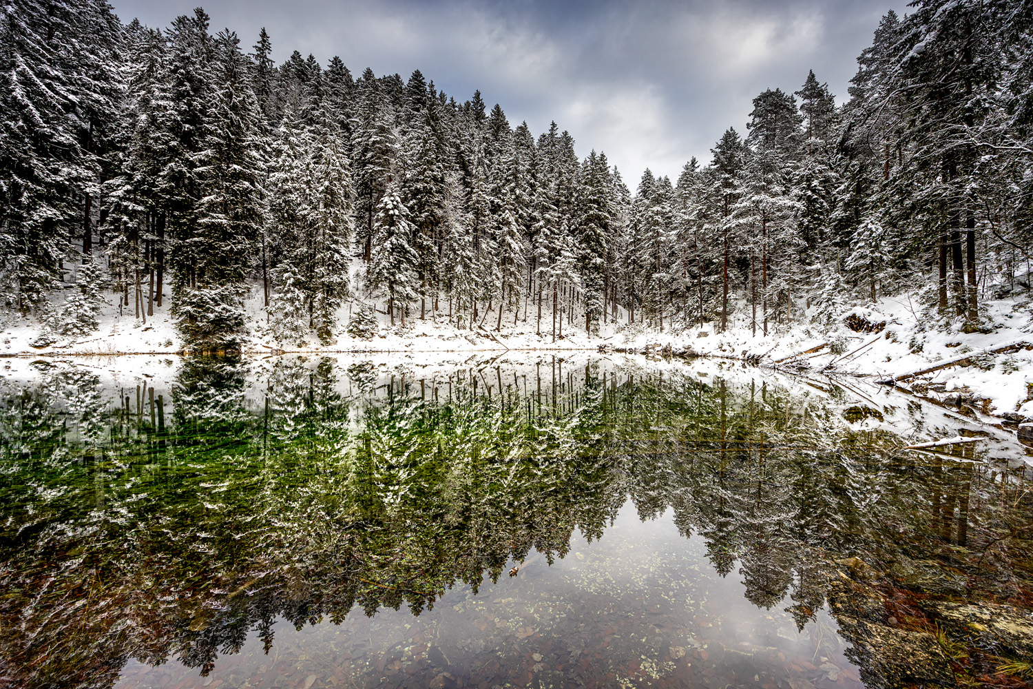 winter am waldsee