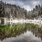 winter am waldsee