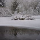 Winter am Waldteich (2)