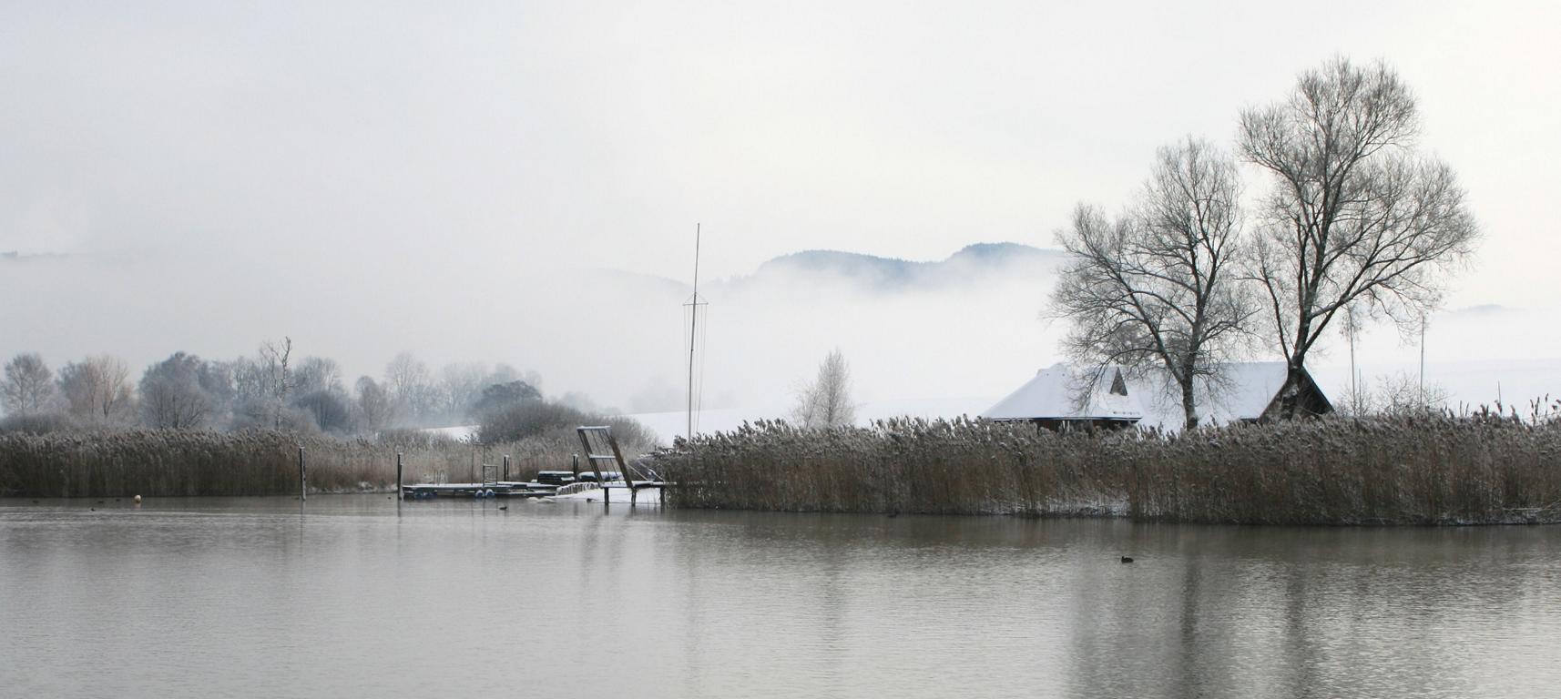 Winter am Wallersee