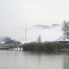 Winter am Wallersee