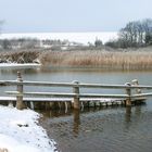 Winter am Wallersee 2