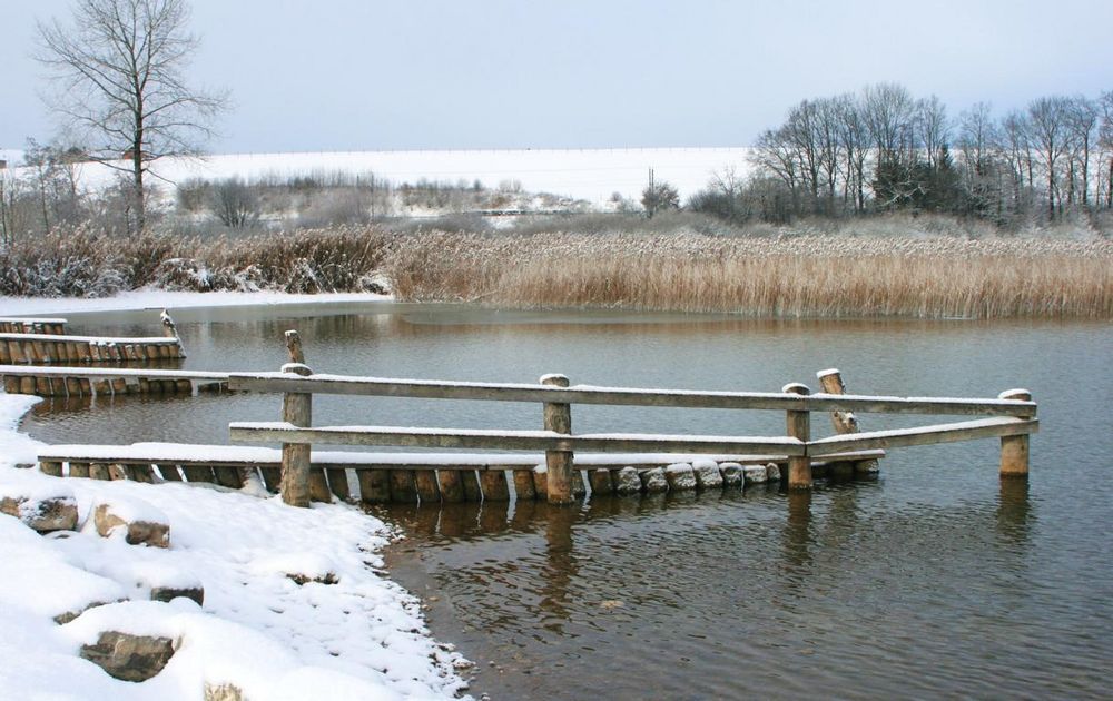 Winter am Wallersee 2