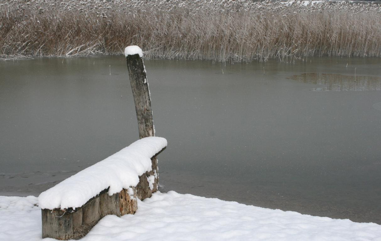 Winter am Wallersee 3