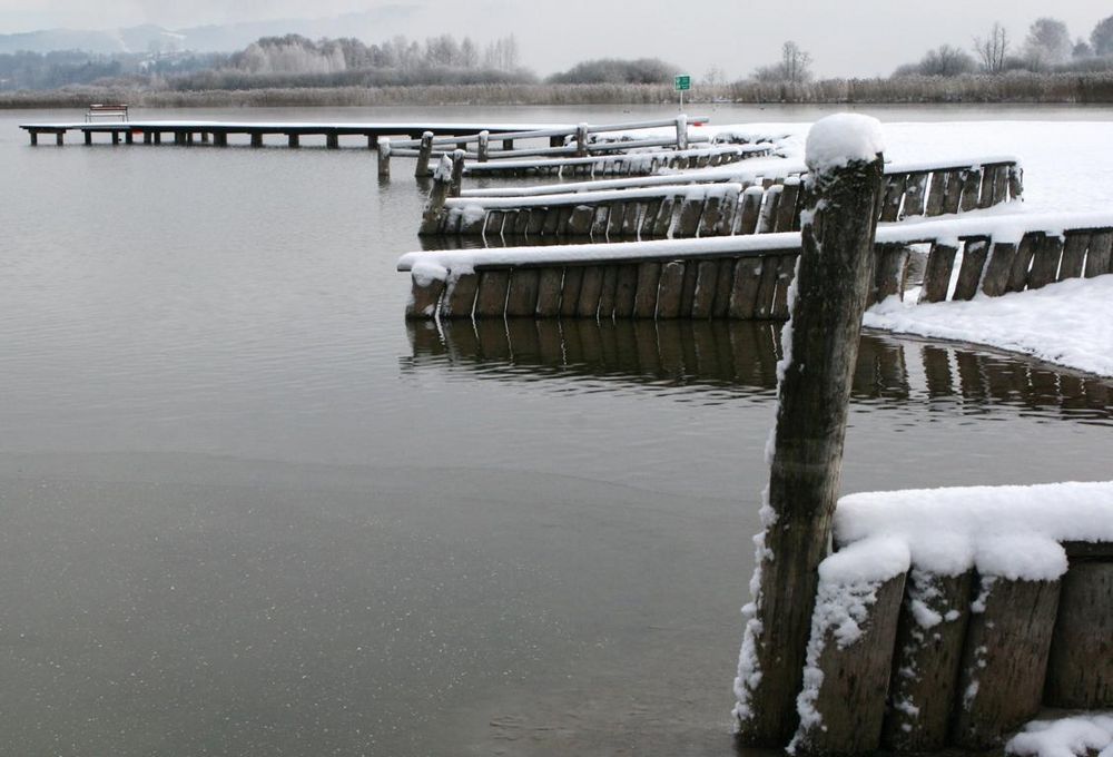 Winter am Wallersee 4