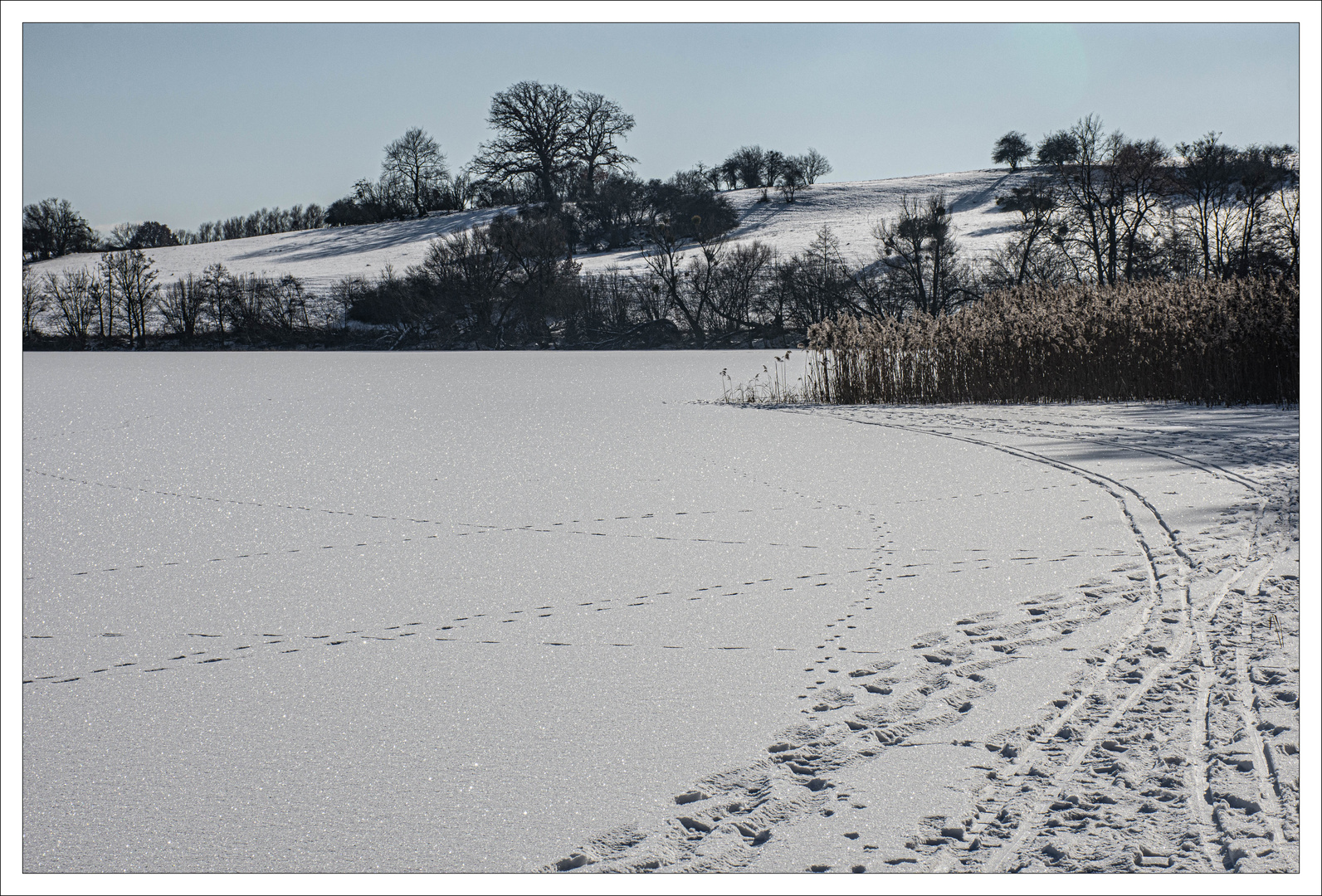 Winter am Wanzkaer See