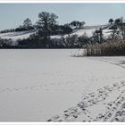 Winter am Wanzkaer See