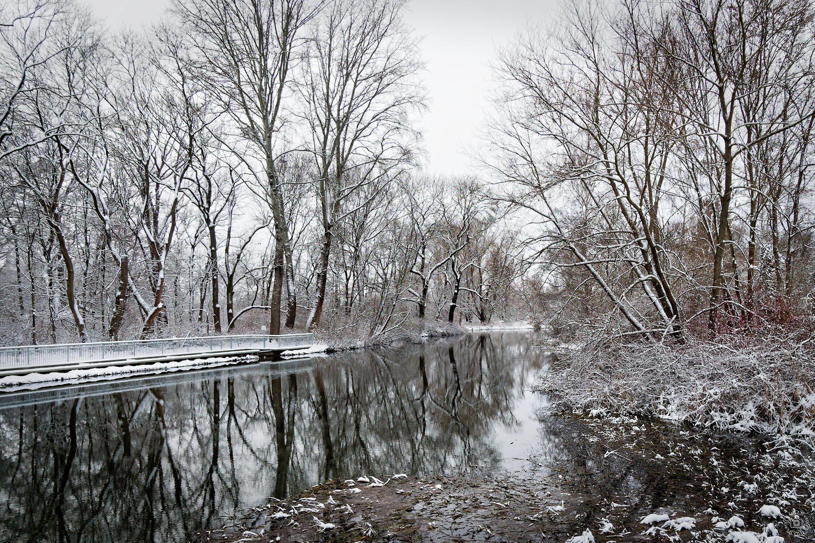 Winter am Wehr (3)