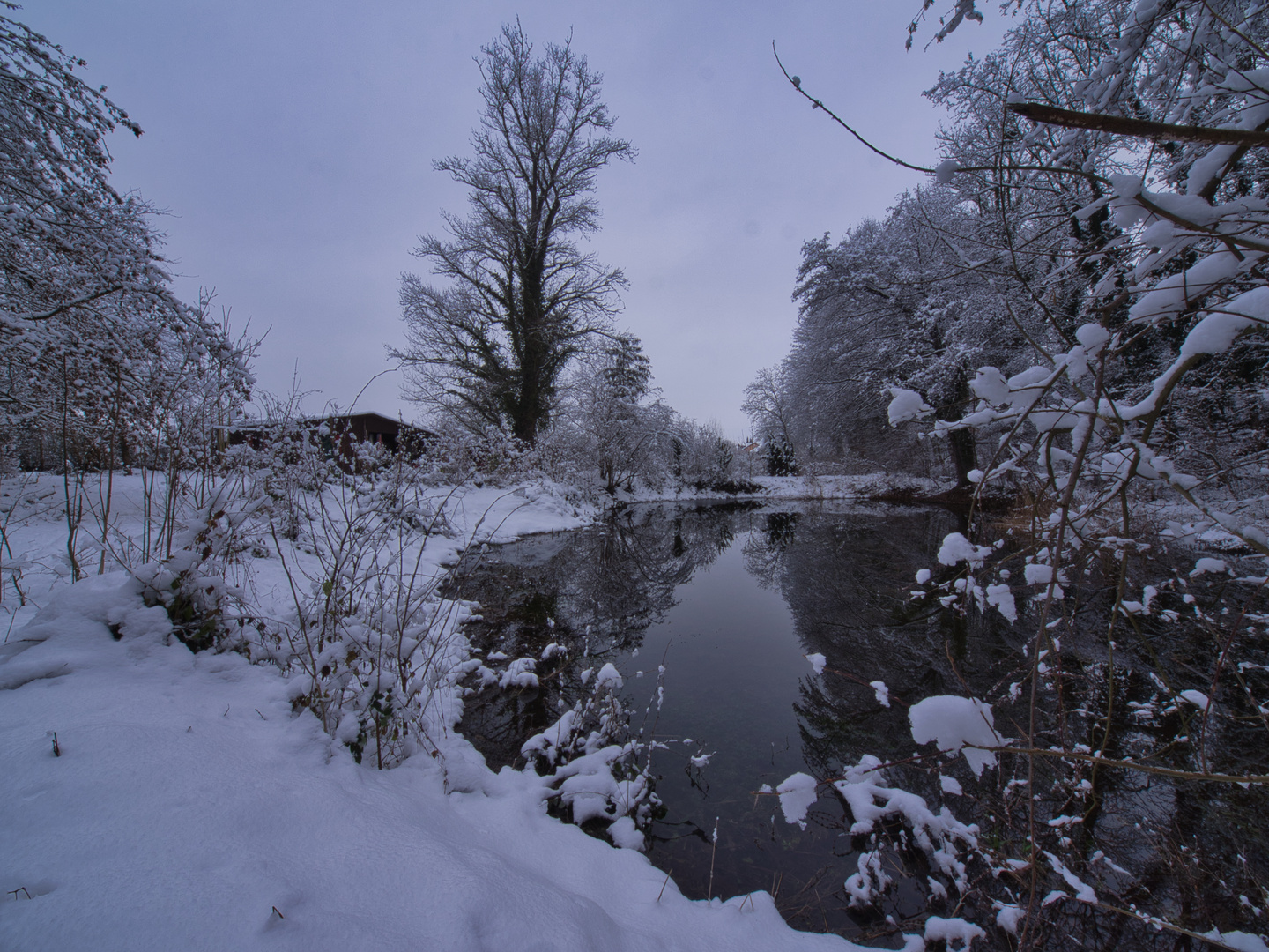 Winter am Weiher 02