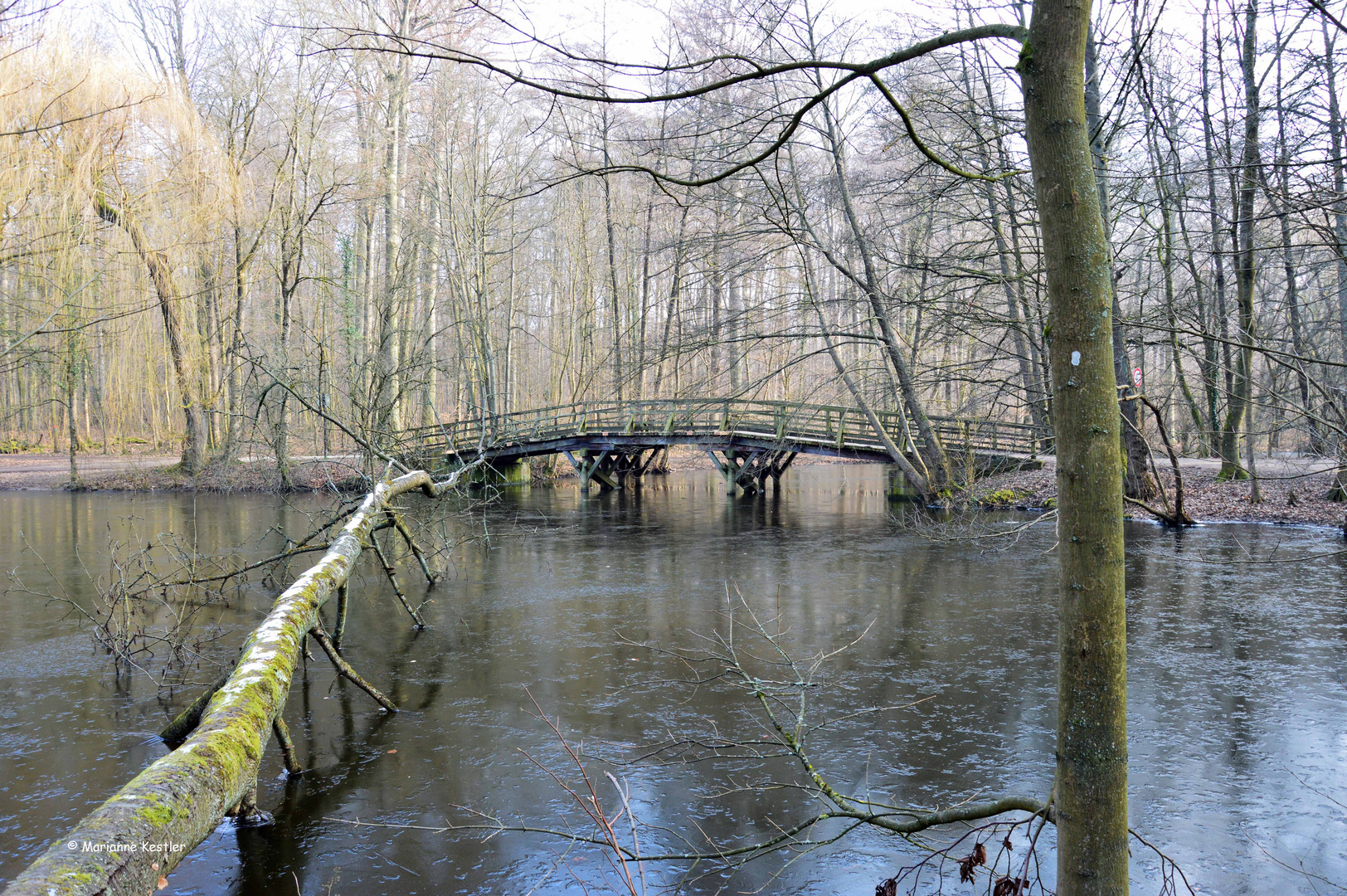 Winter am Weiher - 1 -