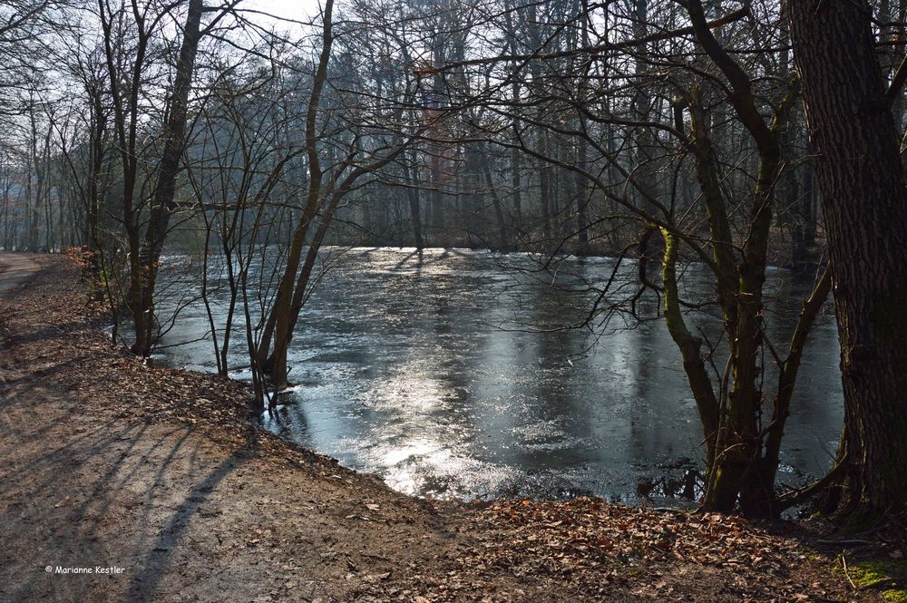 Winter am Weiher - 2 -