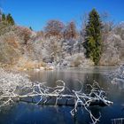 Winter am Weiher