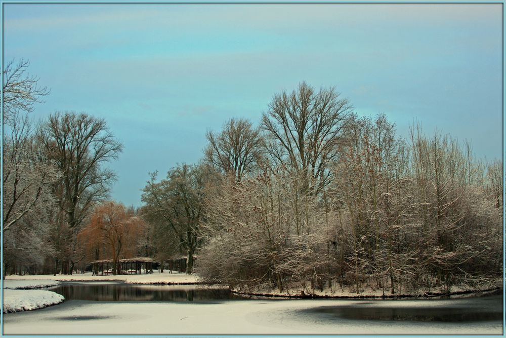 Winter am Weiher