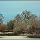 Winter am Weiher