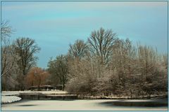 Winter am Weiher