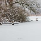 Winter am Weiher