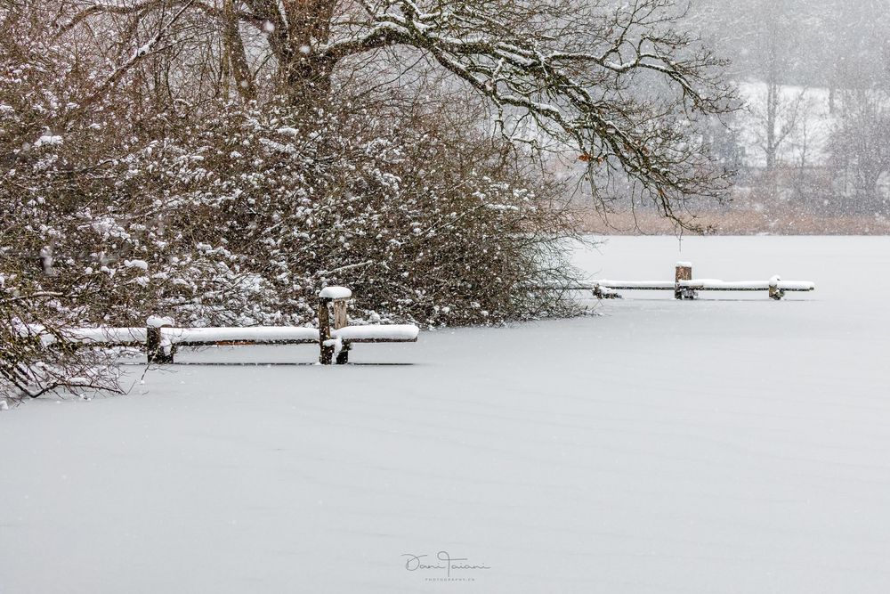 Winter am Weiher