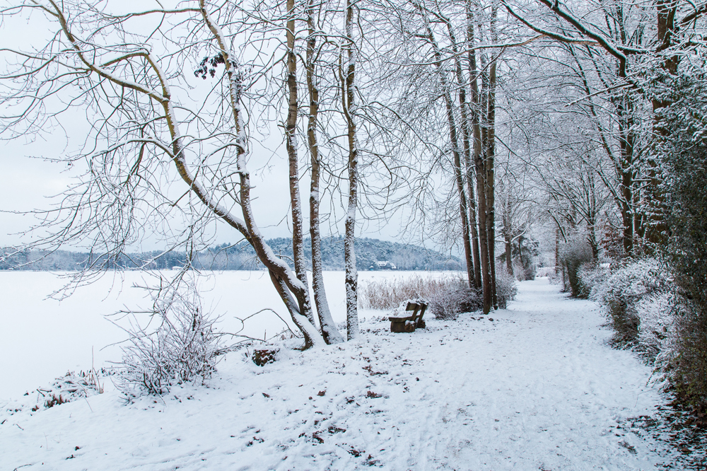 Winter am Weiher