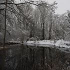 Winter am Weiher