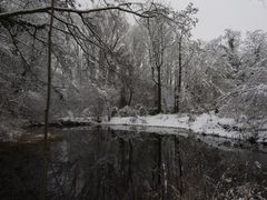 Winter am Weiher