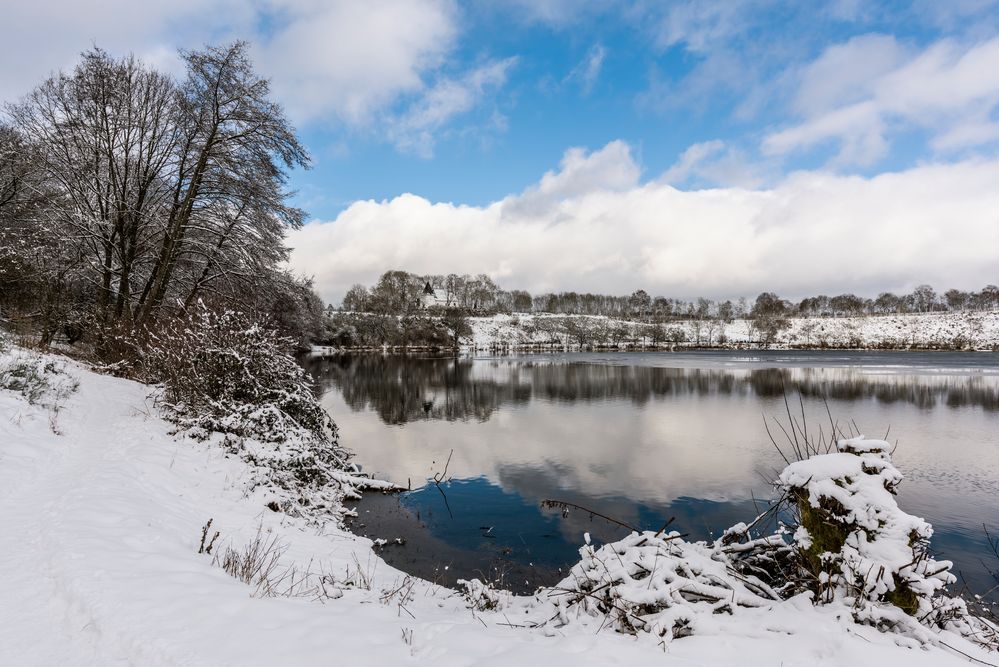 *Winter am Weinfelder Maar IV*