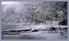 Winter am Werbellinsee