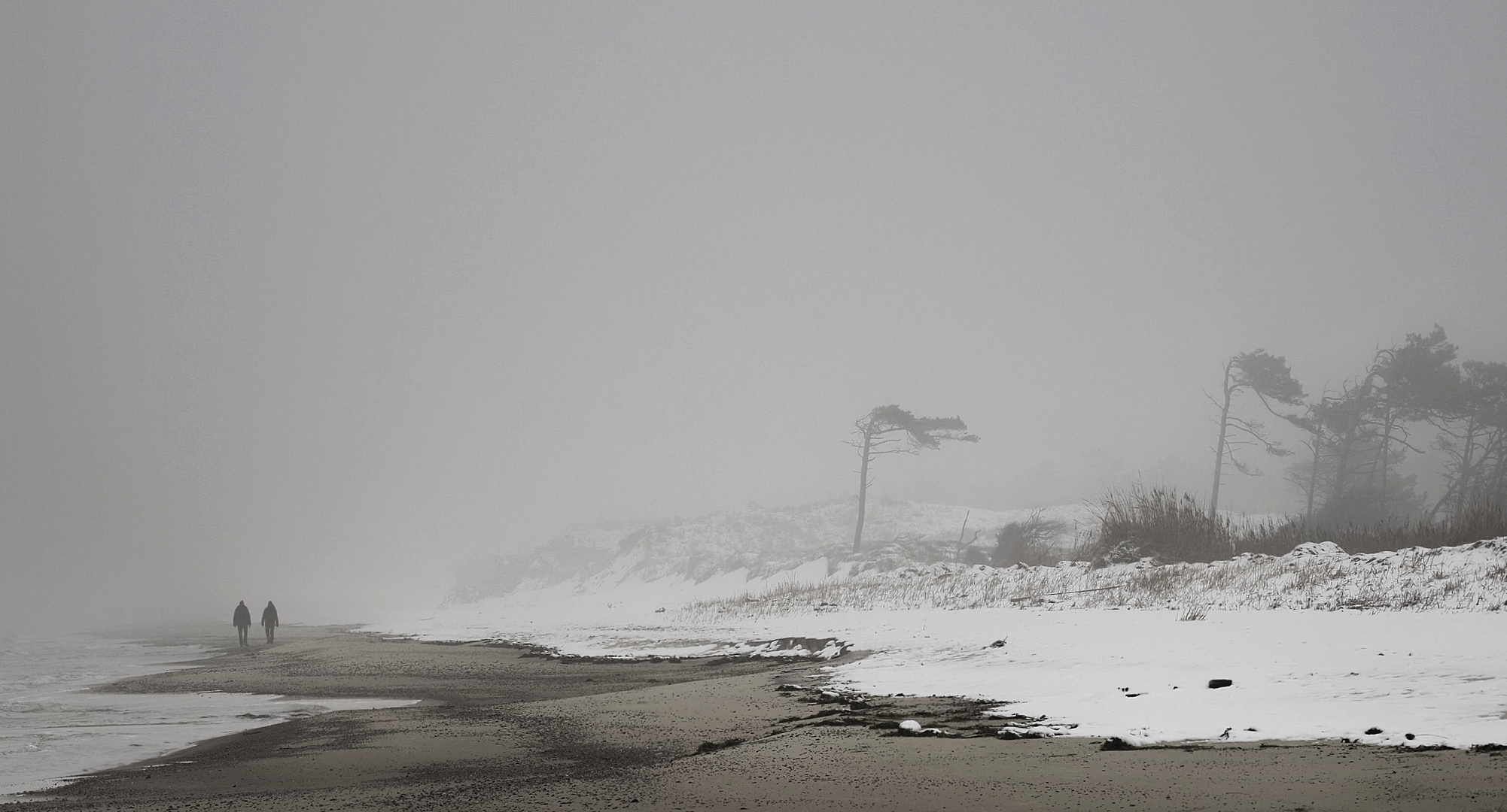 Winter am Weststrand 