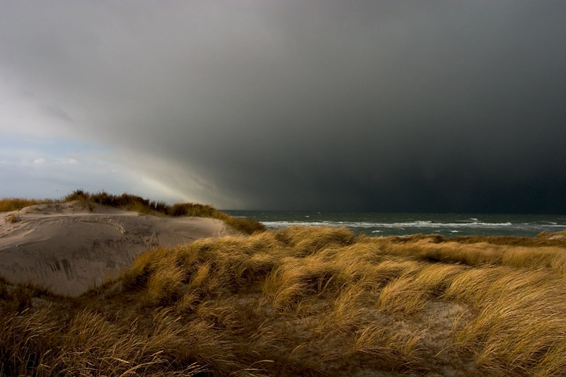 Winter am Weststrand II