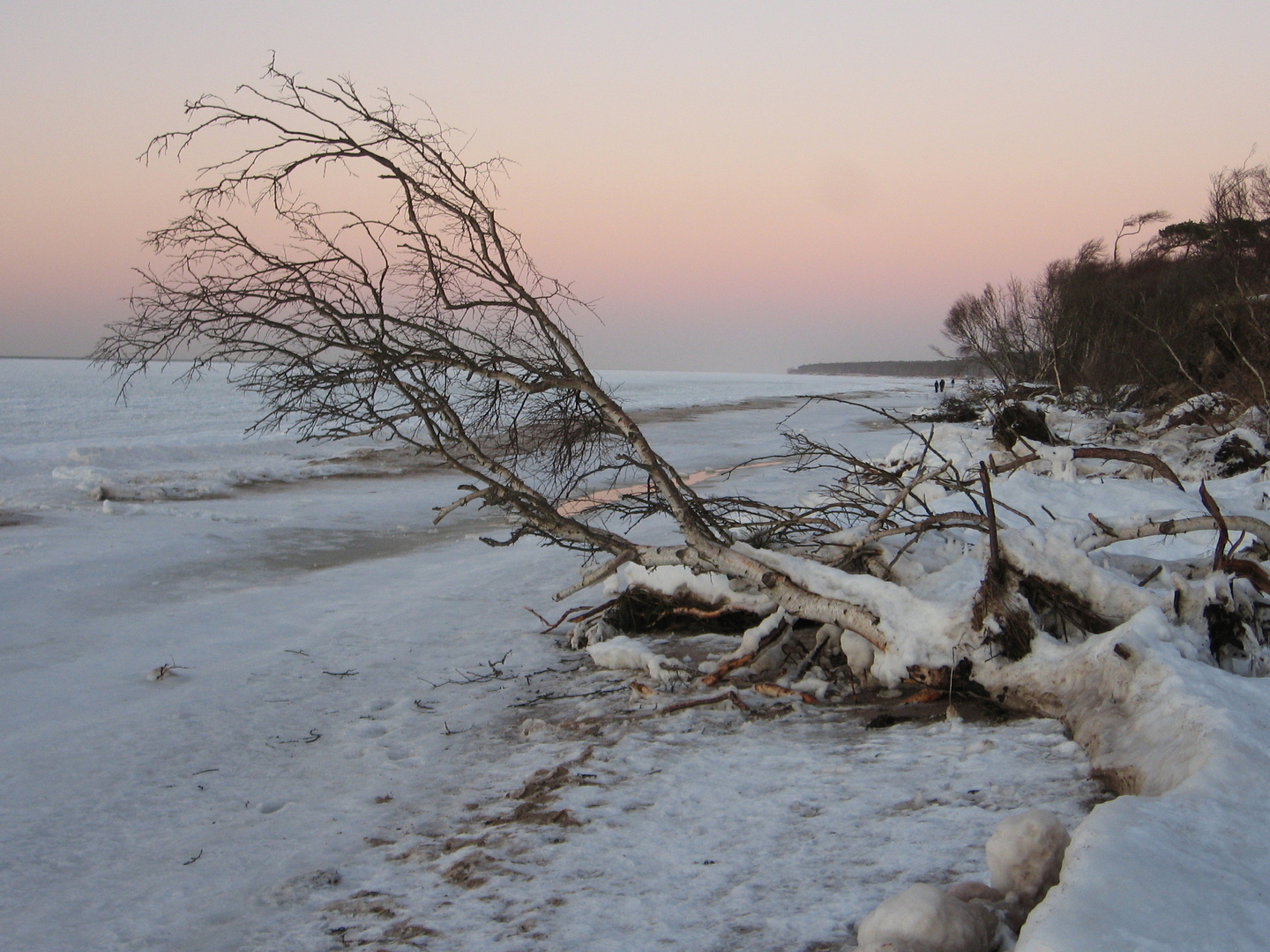 Winter am Weststrand/Darß