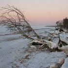 Winter am Weststrand/Darß