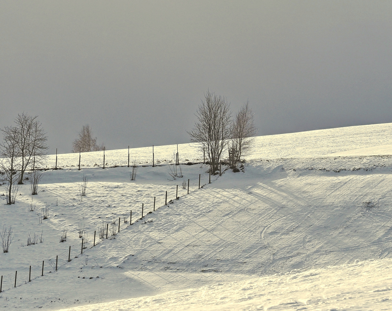 Winter am Wildberg