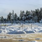 Winter am Wildsee