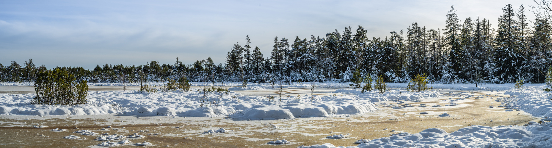 Winter am Wildsee