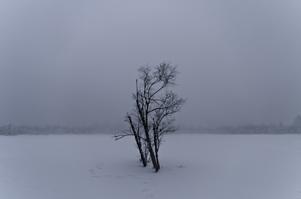 Winter am Wildsee