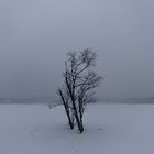 Winter am Wildsee