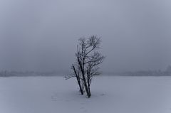 Winter am Wildsee