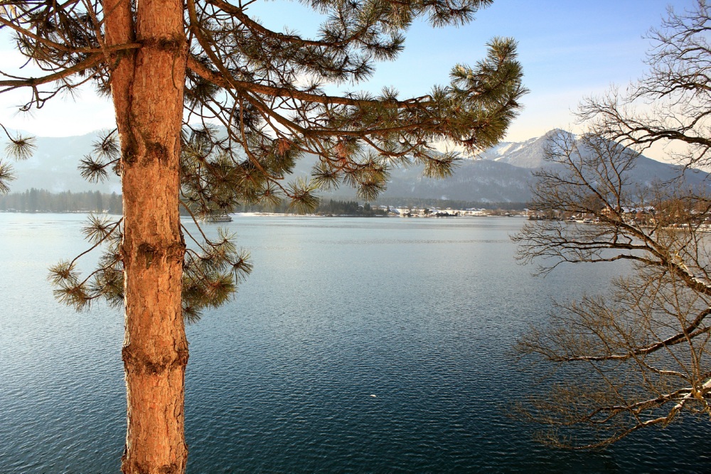 Winter am Wolfgangsee