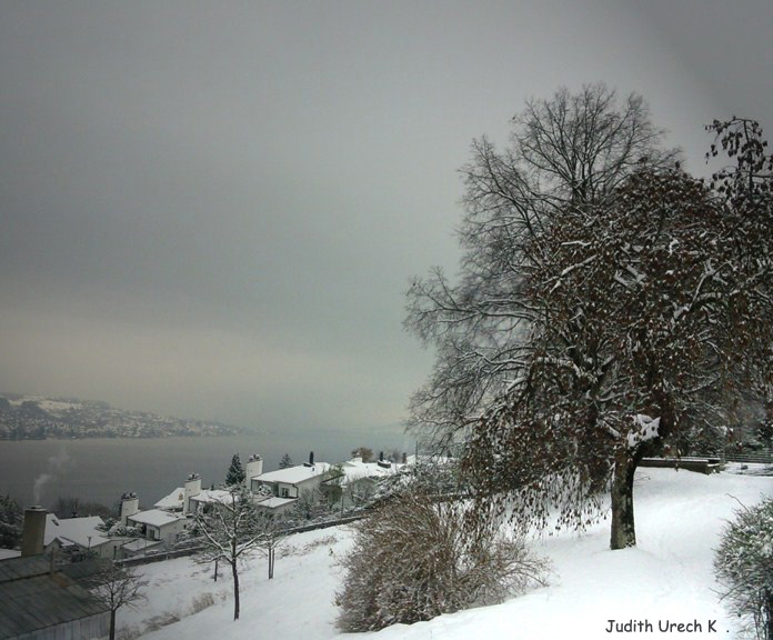 Winter am Zürichsee