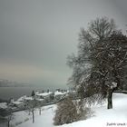 Winter am Zürichsee