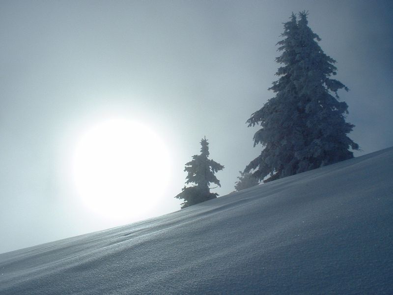 Winter am Zwölferhorn