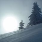 Winter am Zwölferhorn