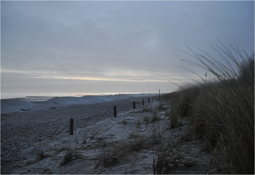 Winter an den Dünen